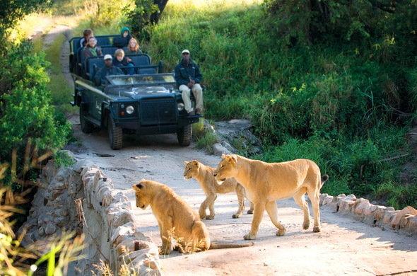 Kruger Park Lodge 401 Hazyview Buitenkant foto